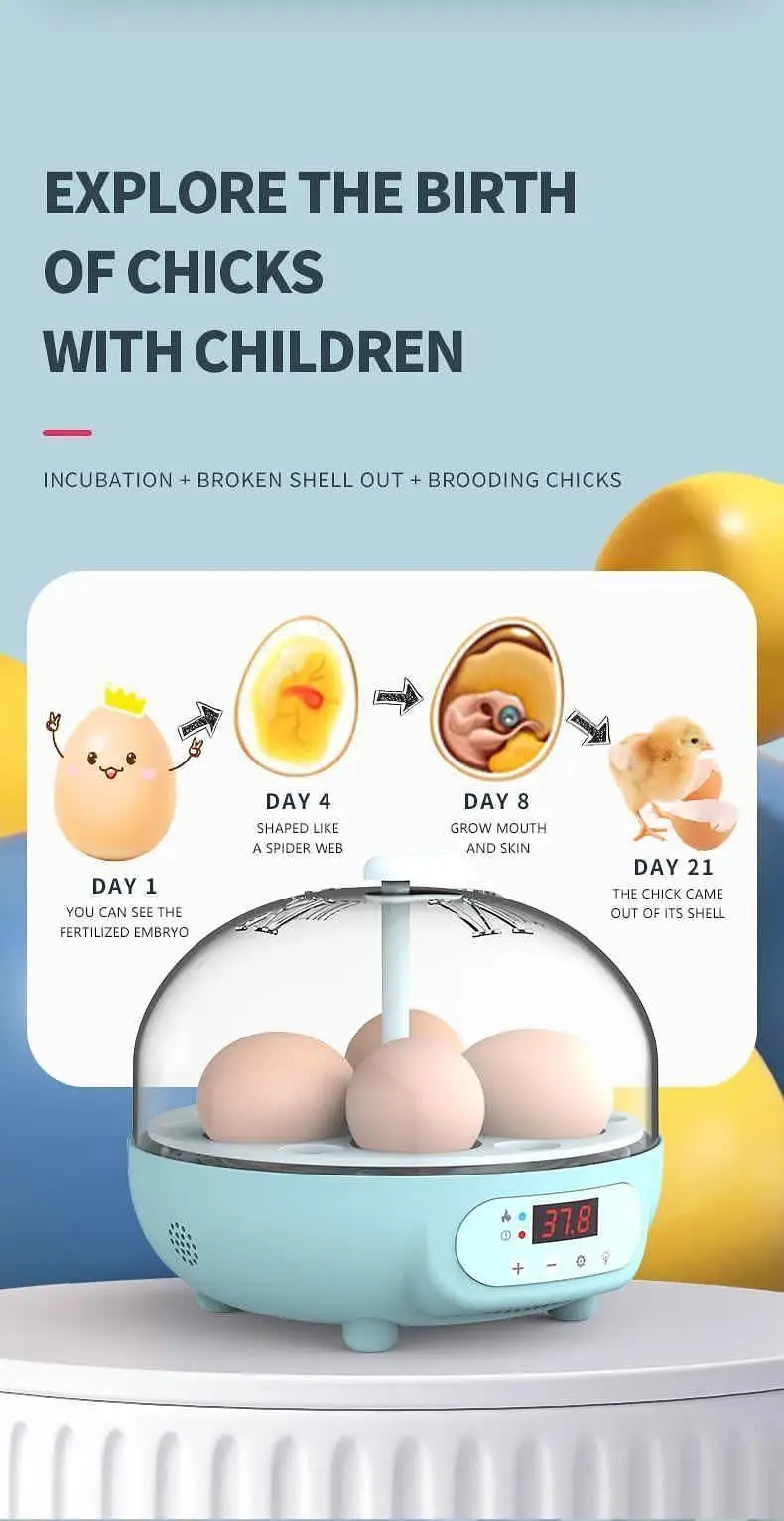 Original Imported Full Automatic Eggs Incubator Ac dC Direct Importer — photo 6