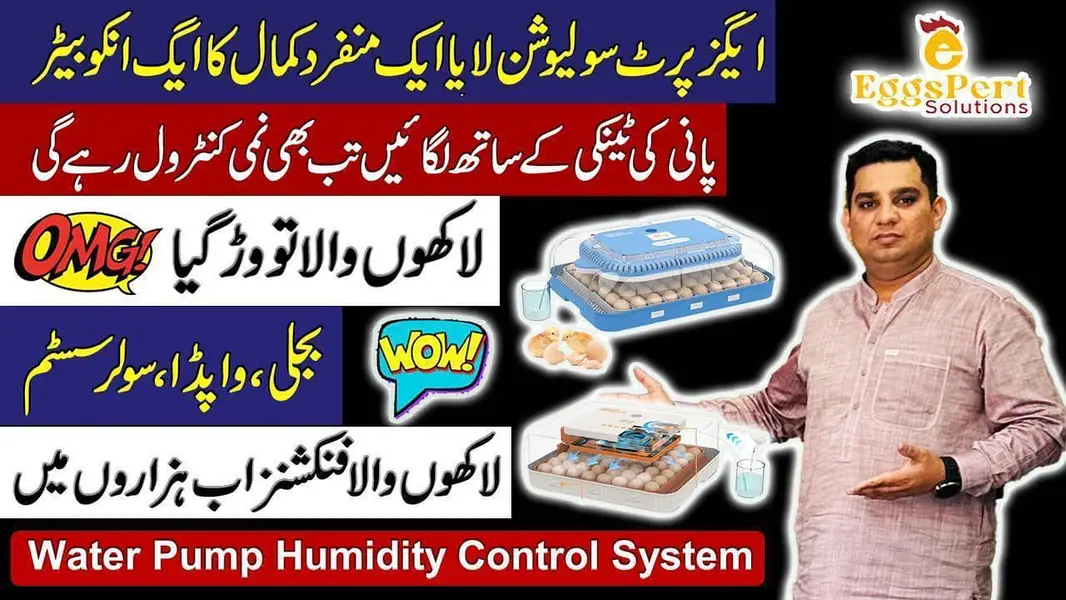 Original Imported Full Automatic Eggs Incubator Ac dC Direct Importer — photo 12