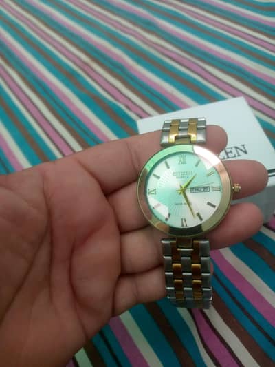 citizen watch dete n day.