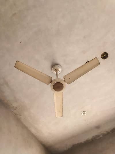Ceiling Fan