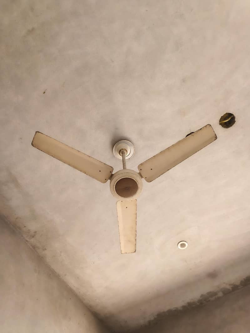Ceiling Fan 0
