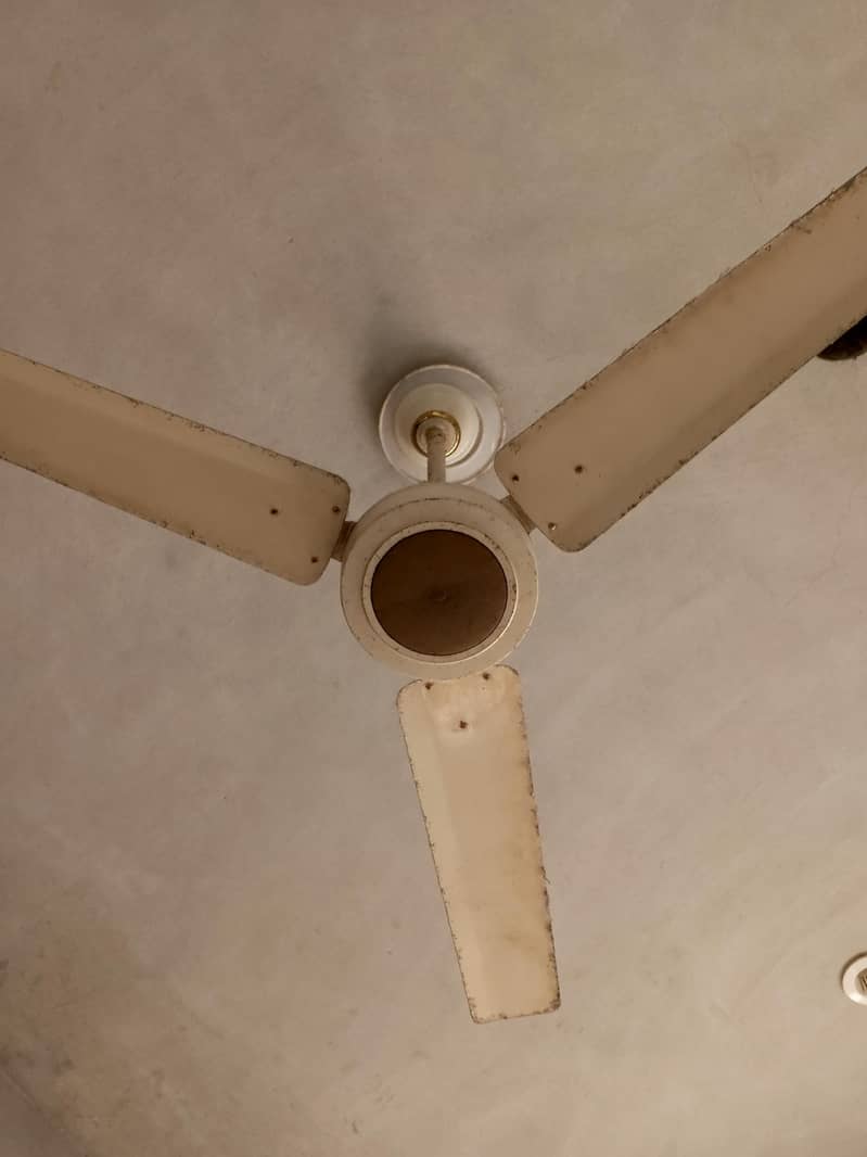 Ceiling Fan 1