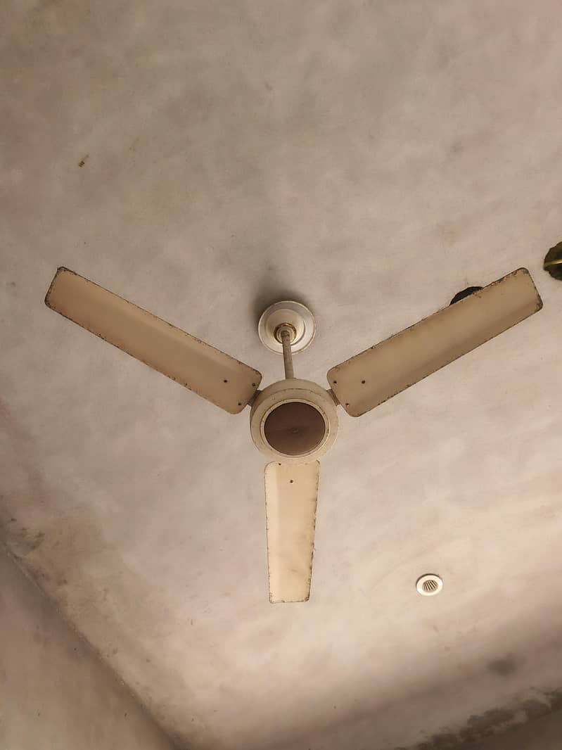Ceiling Fan 2