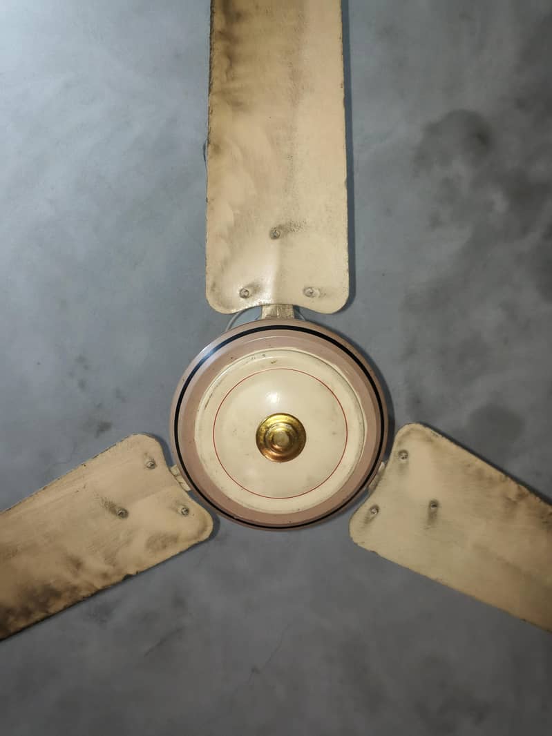 Ceiling Fan 3