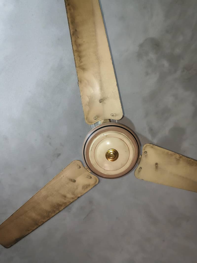 Ceiling Fan 4