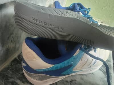 victor original badminton ahoes