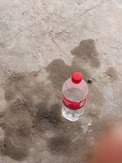 water bottle