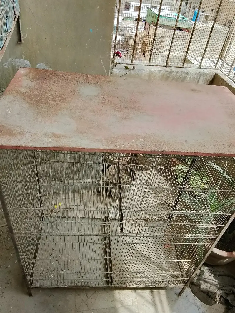 birds cage — photo 2