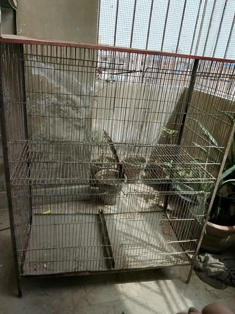 birds cage — photo 3