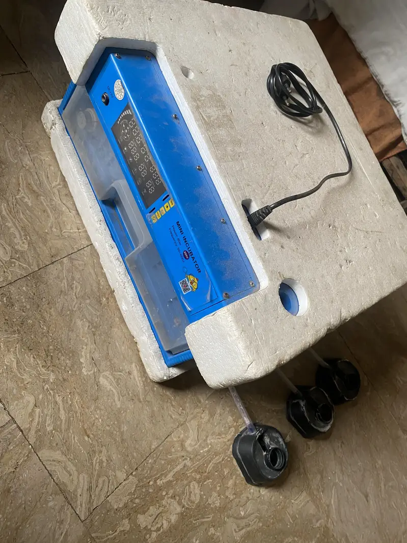 36 eggs automatic incubator — photo 3