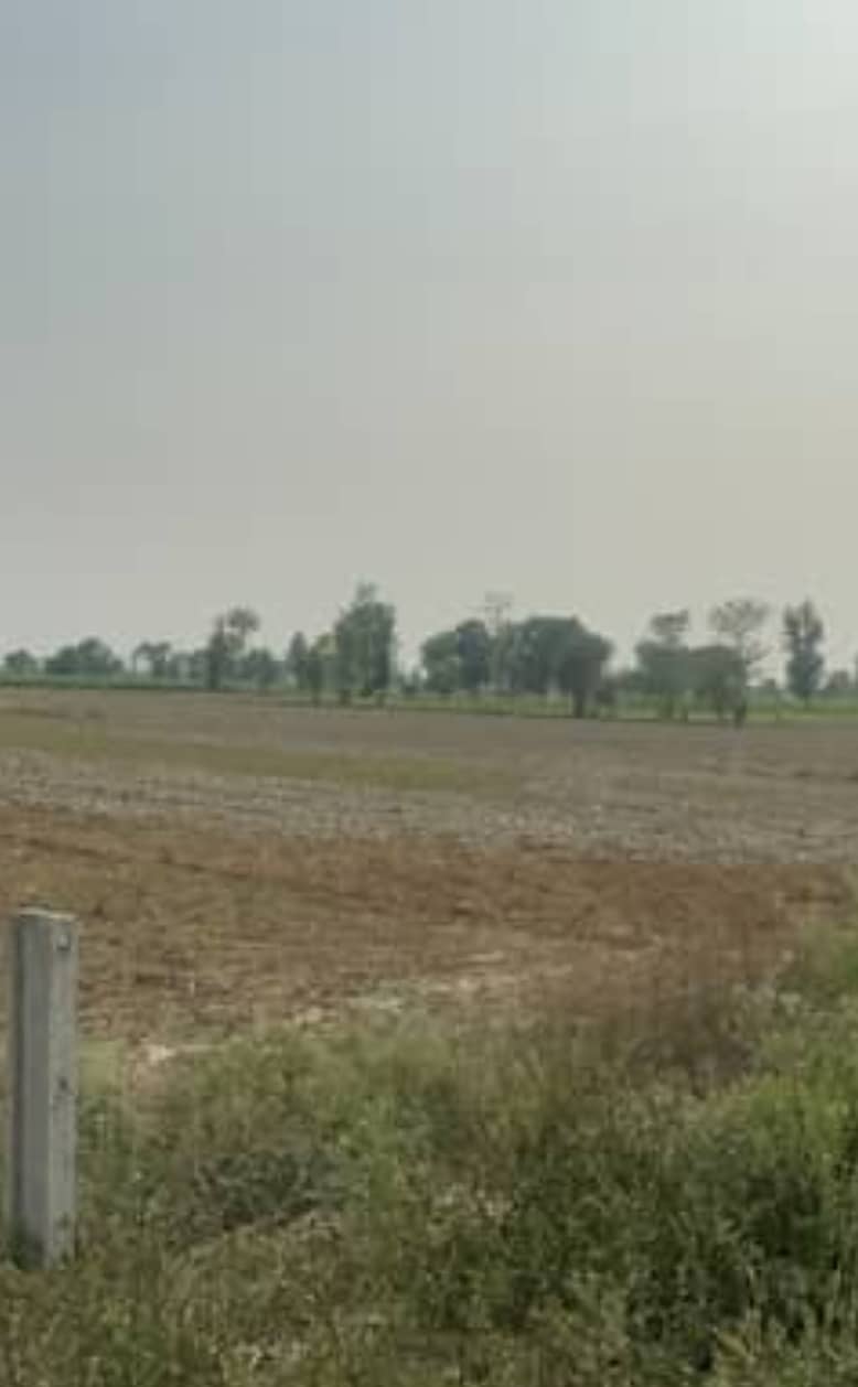 Mandra Bazar commercial plot 0