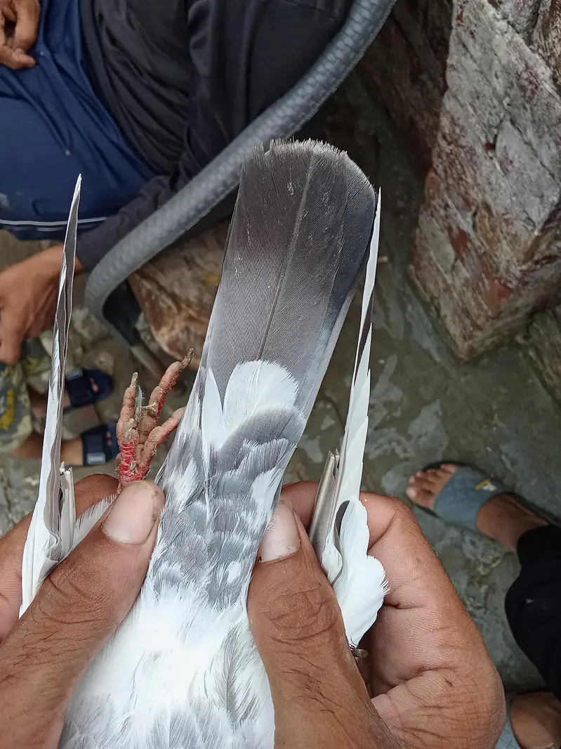 bhot nayab cheez ha — photo 3
