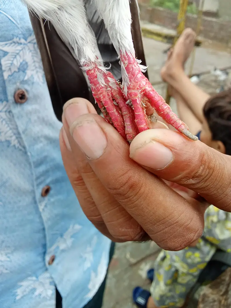 bhot nayab cheez ha — photo 4