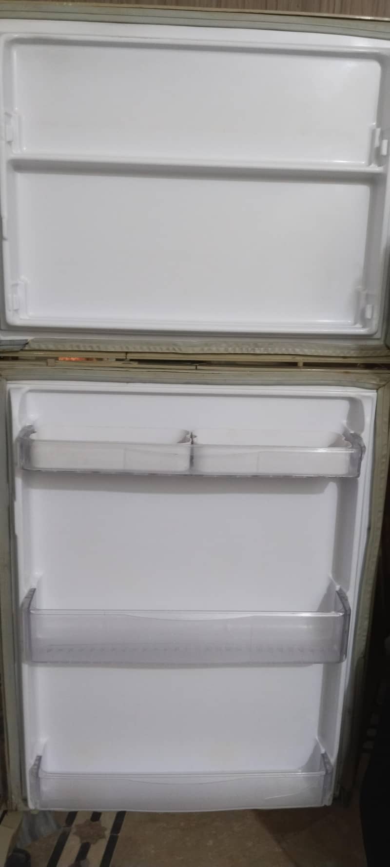 Waves Refrigerator 4