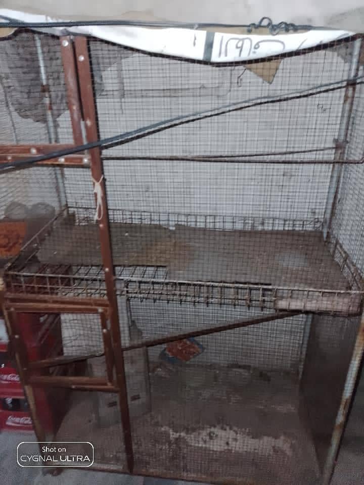 pinjra for sale cage for cat or for other animals 1
