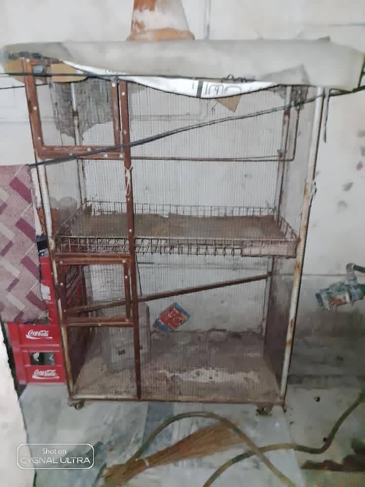 pinjra for sale cage for cat or for other animals 2