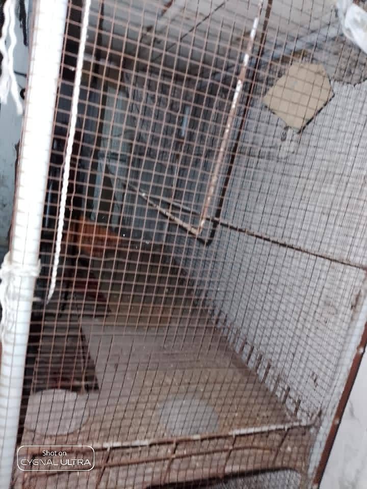 pinjra for sale cage for cat or for other animals 3