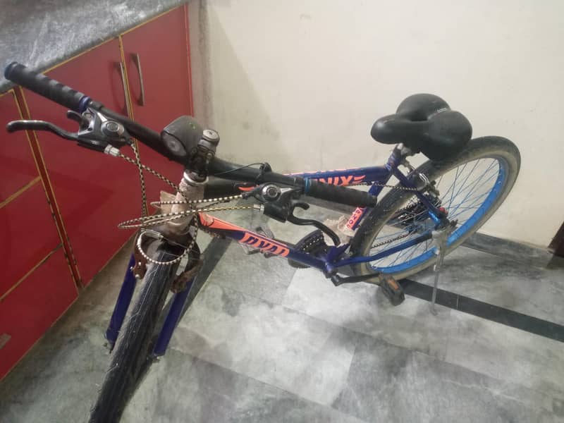 cycle 0