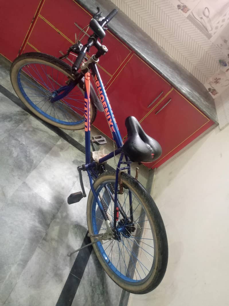 cycle 6