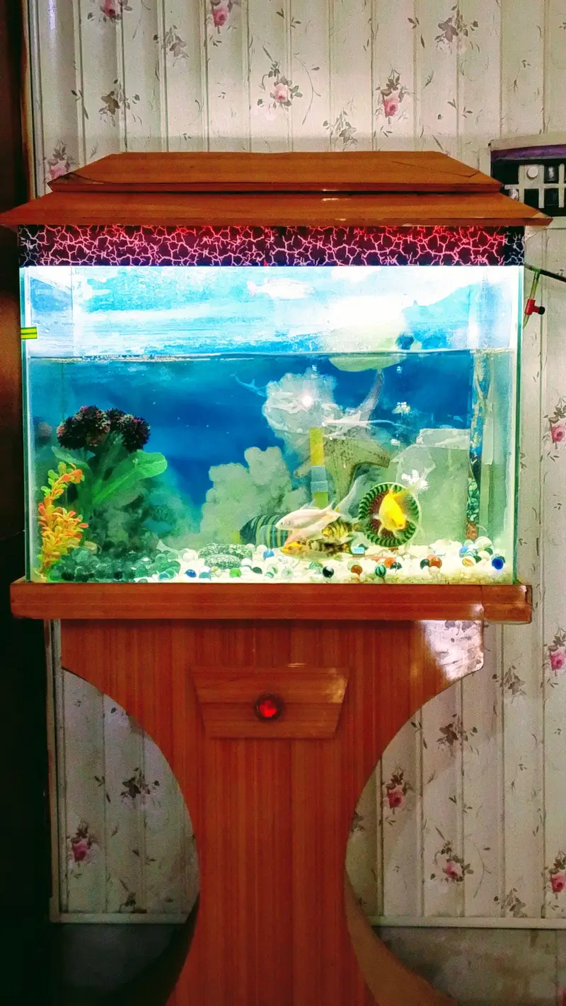 aquarium & Fish — photo 2