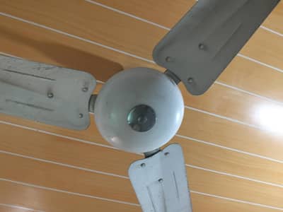 Ceiling Fan