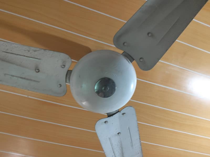 Ceiling Fan 0
