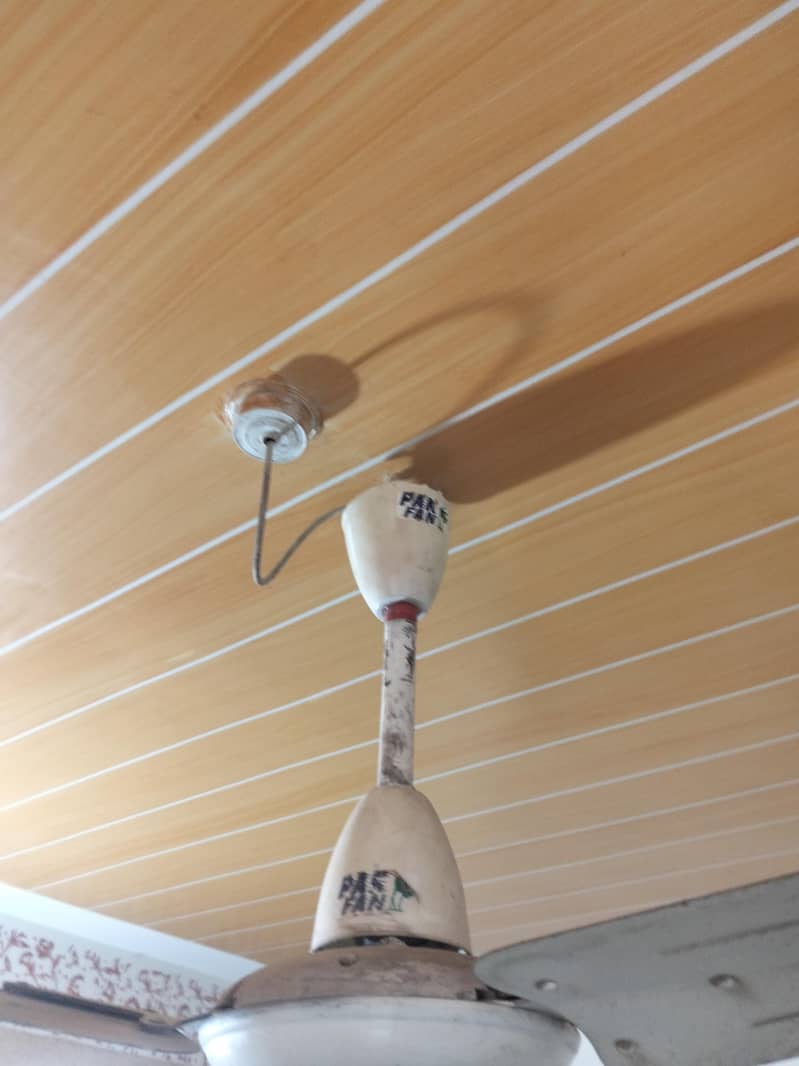 Ceiling Fan 2