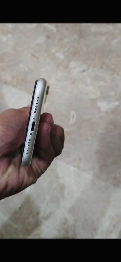Apple 11 pta