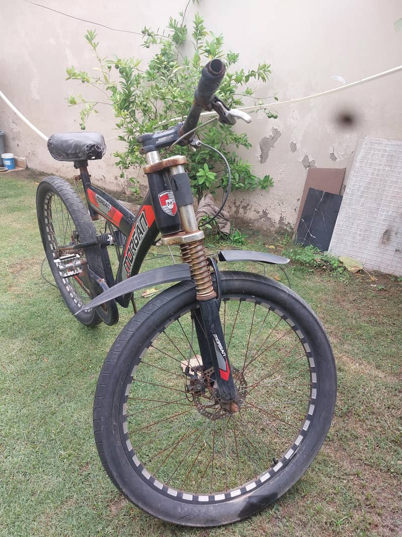 Morgan cycle 1