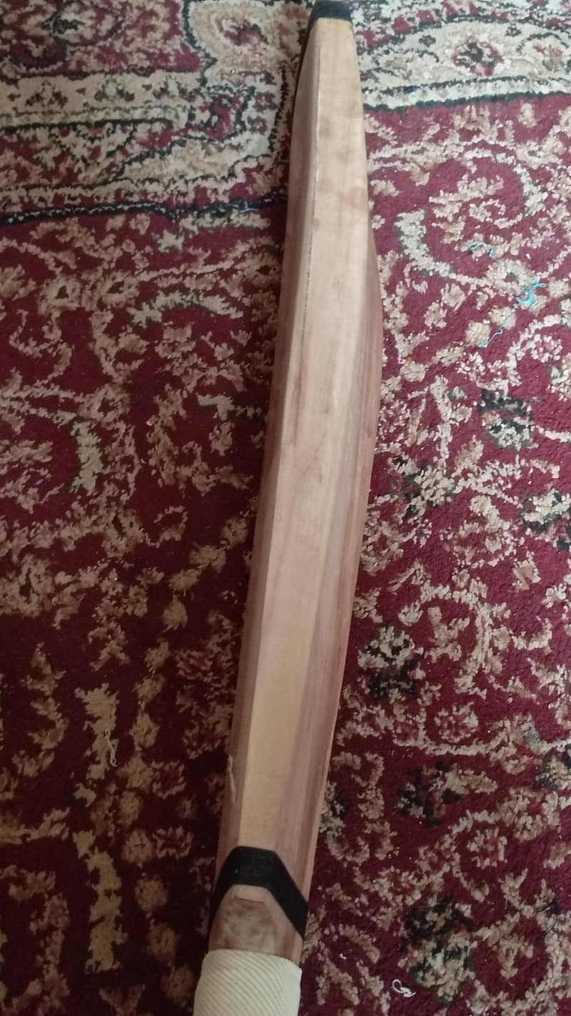 cricket bat 0