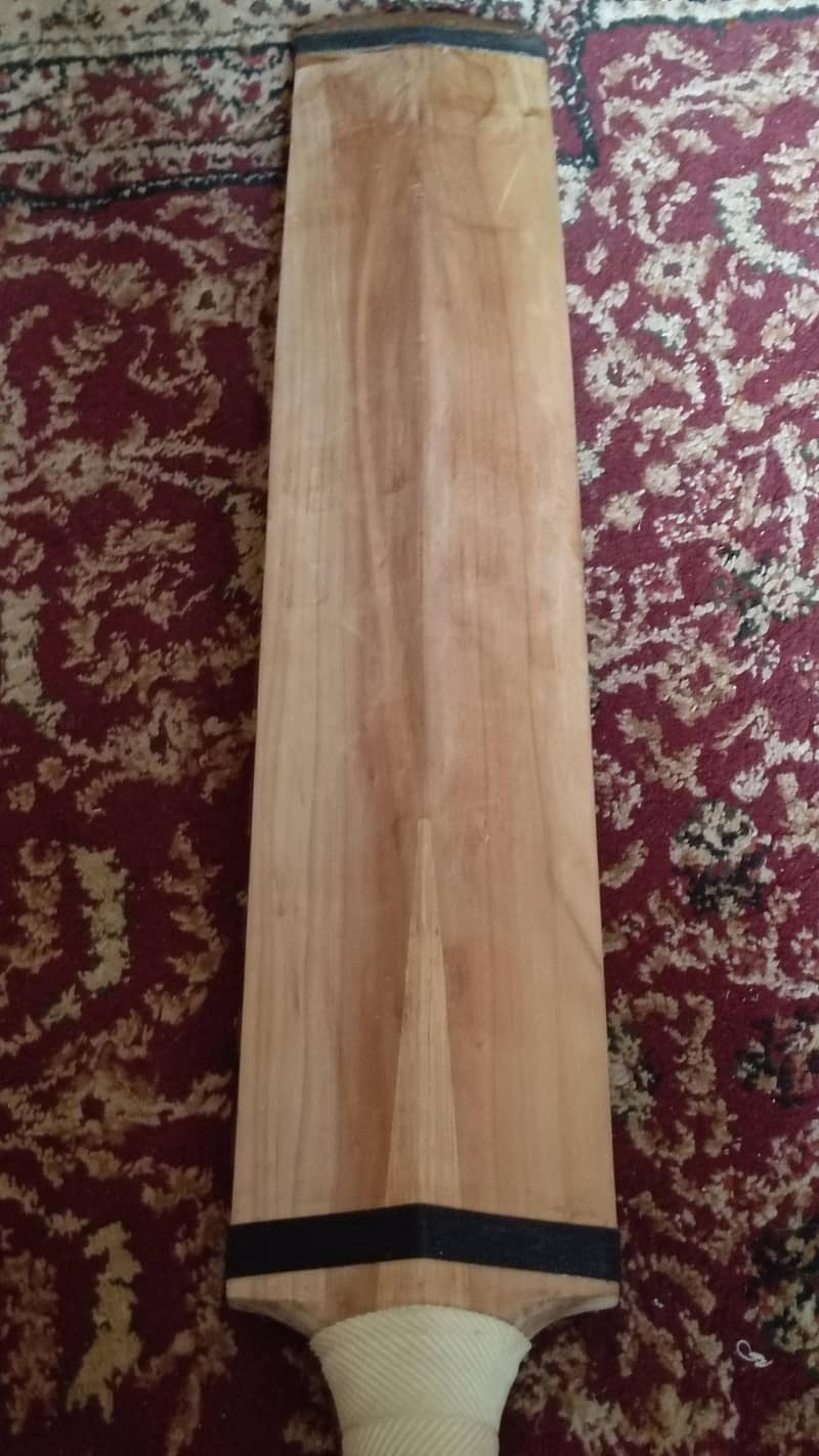 cricket bat 1