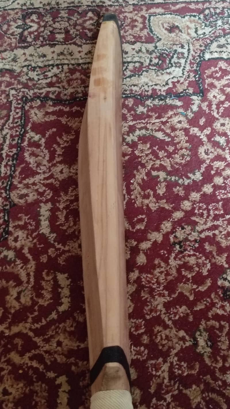 cricket bat 2