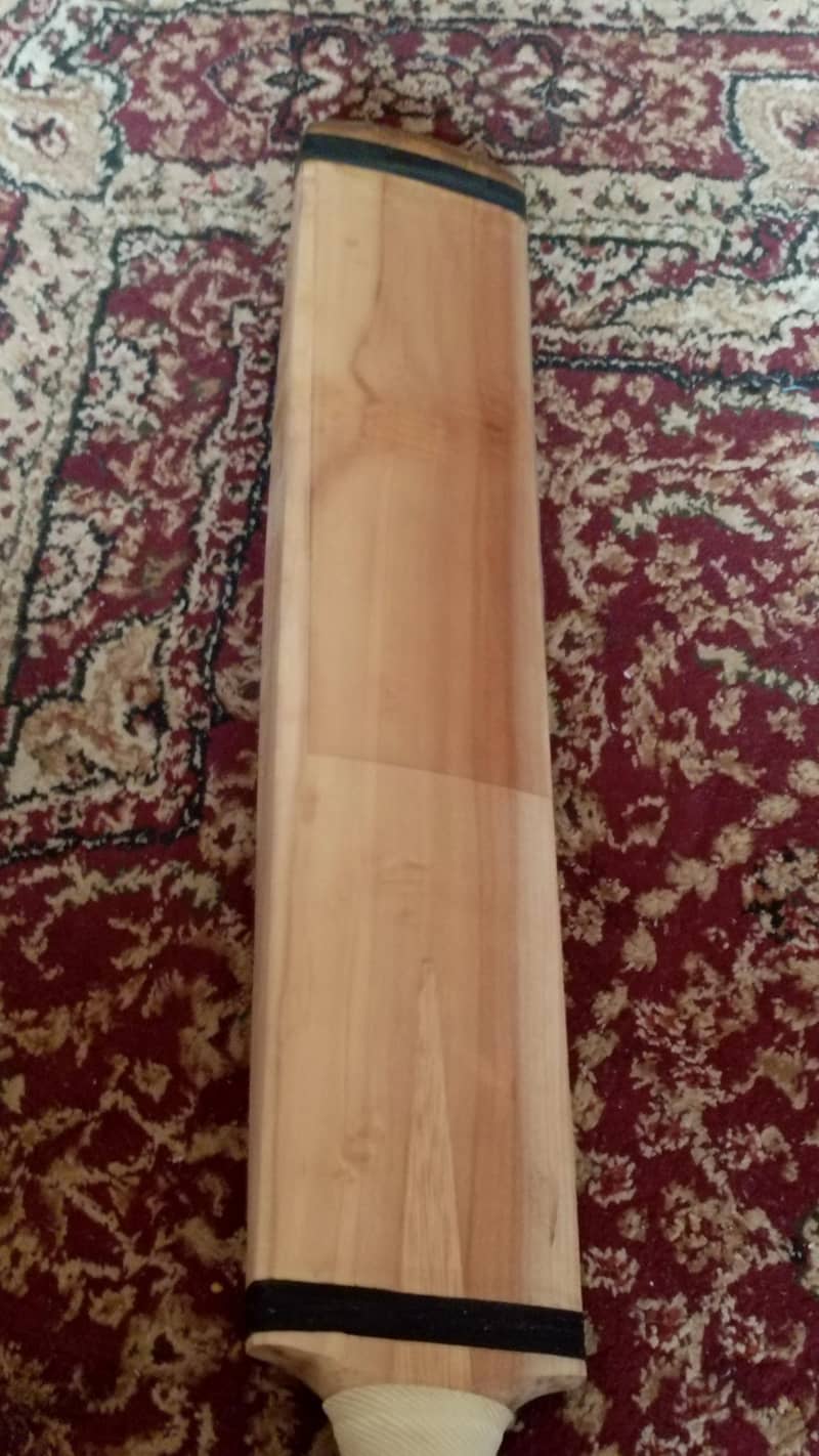 cricket bat 3
