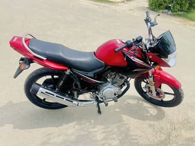 Yamaha ybr 125 red 202
