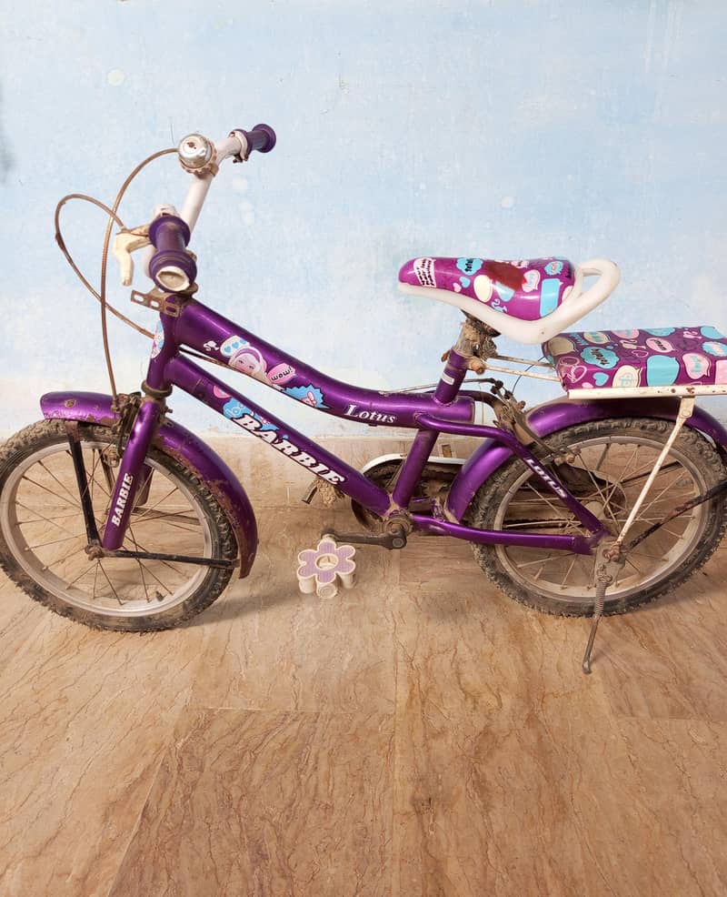 cycle 3