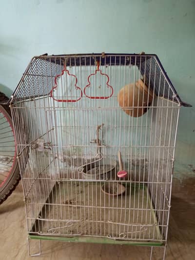 bird cage
