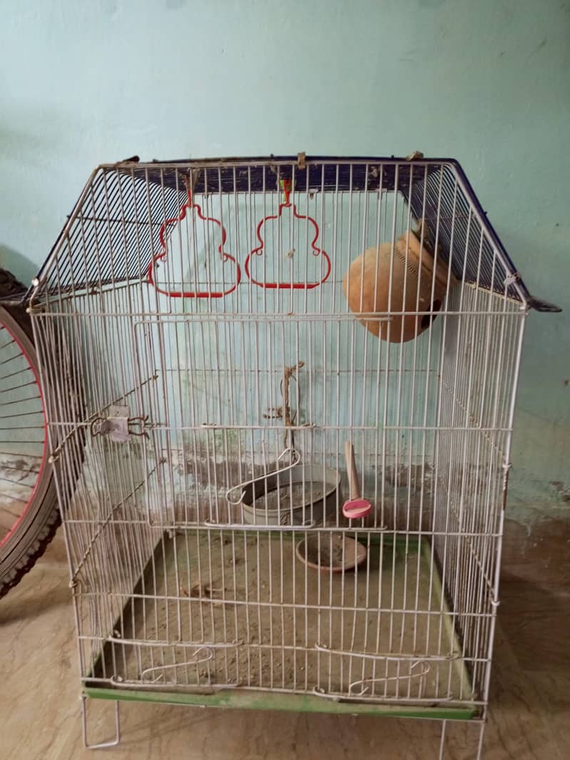 bird cage 0