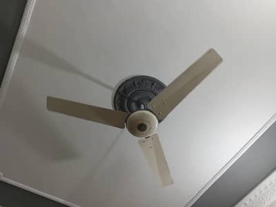 ceiling fan