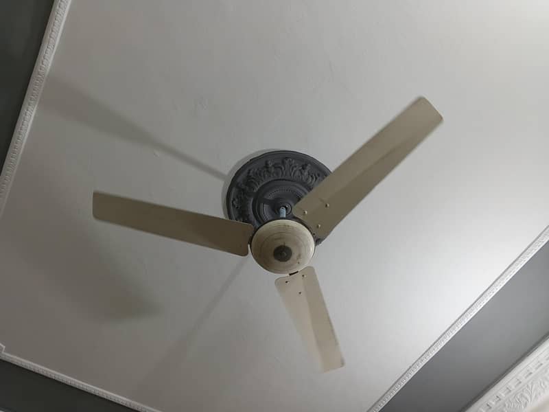ceiling fan 0