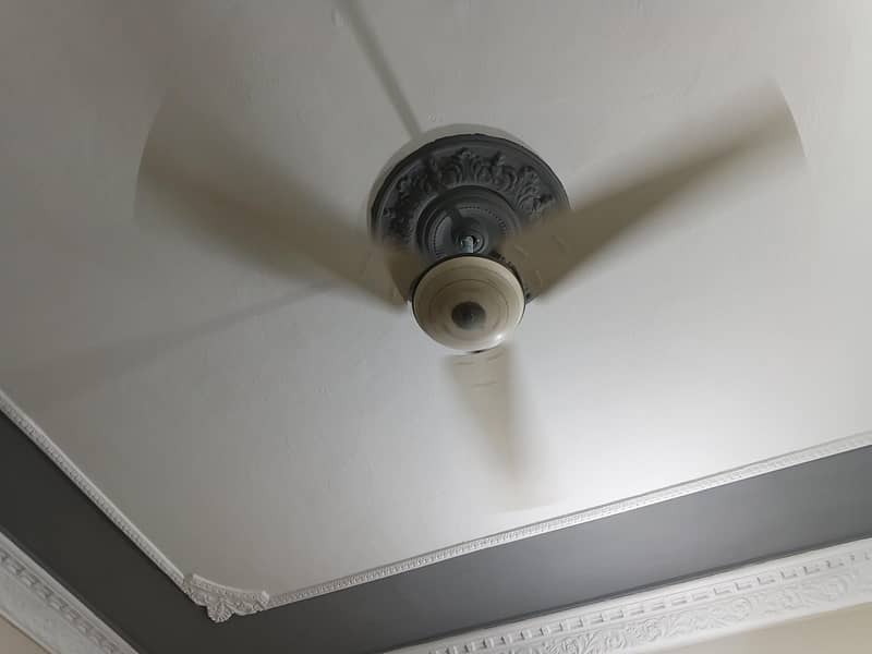 ceiling fan 1