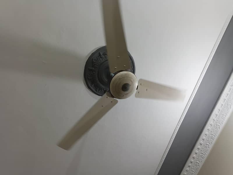 ceiling fan 2