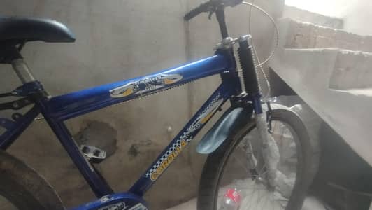 bicycle