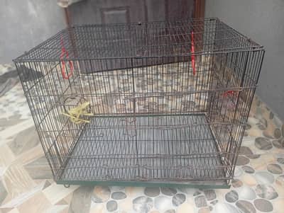 Bird Cage for Sale –