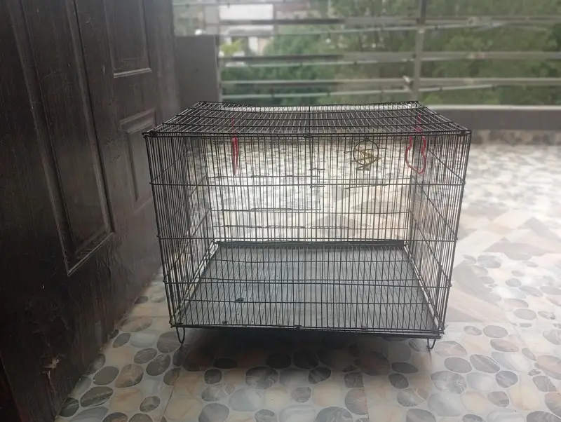 Bird Cage for Sale – — photo 2