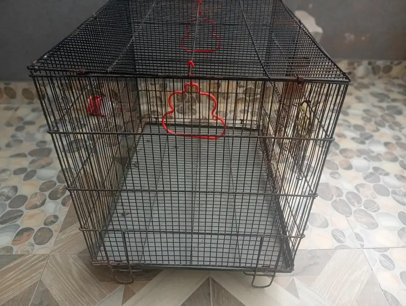Bird Cage for Sale – — photo 4