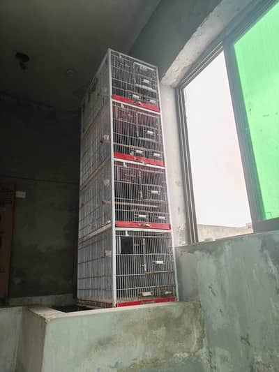Birds Cage for sale