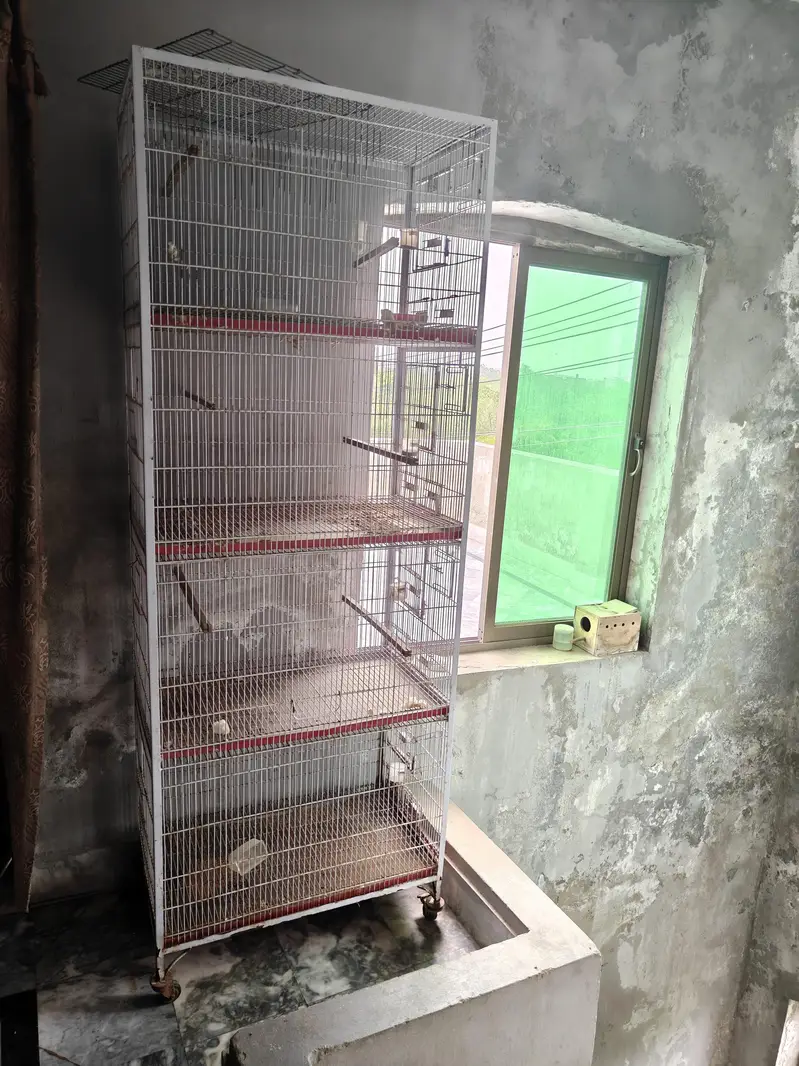 Birds Cage for sale — photo 2