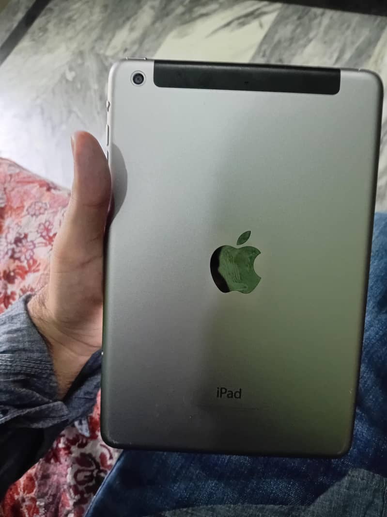 ipad mini 2 0