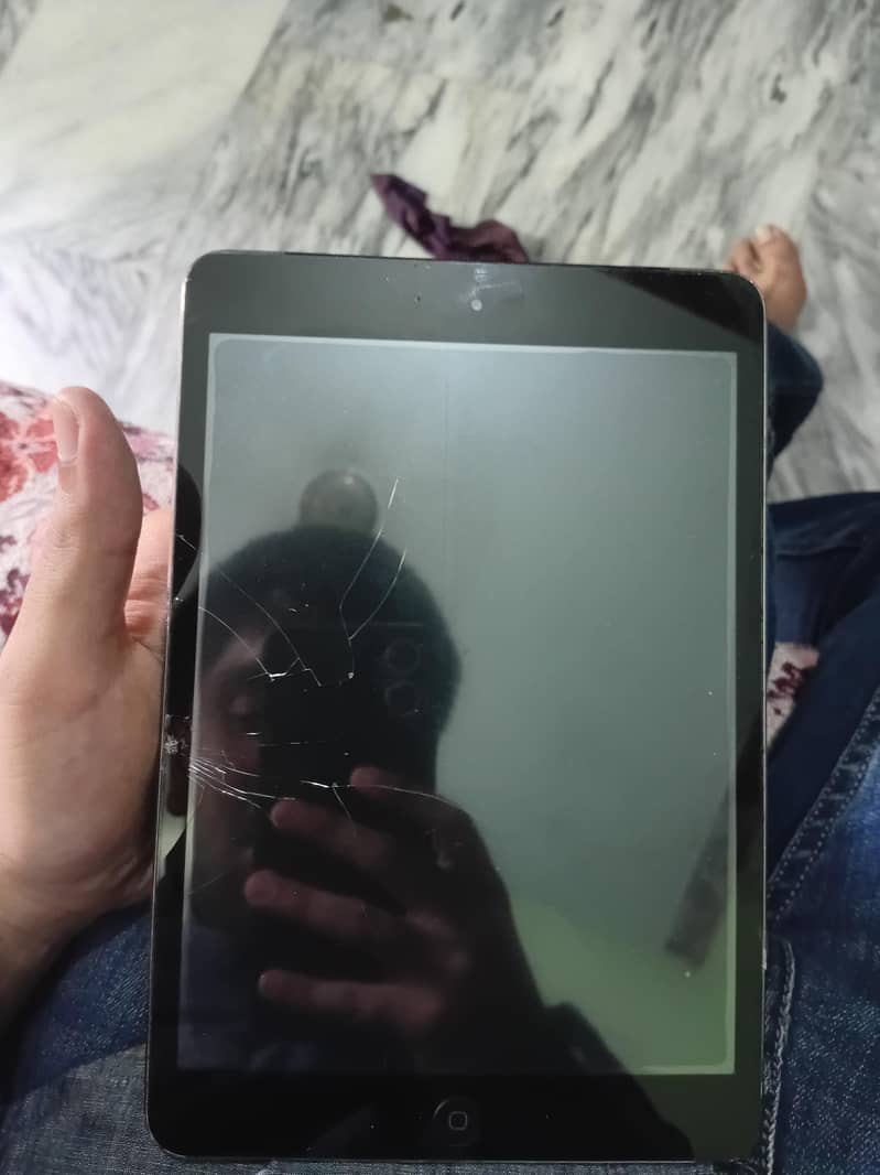 ipad mini 2 4
