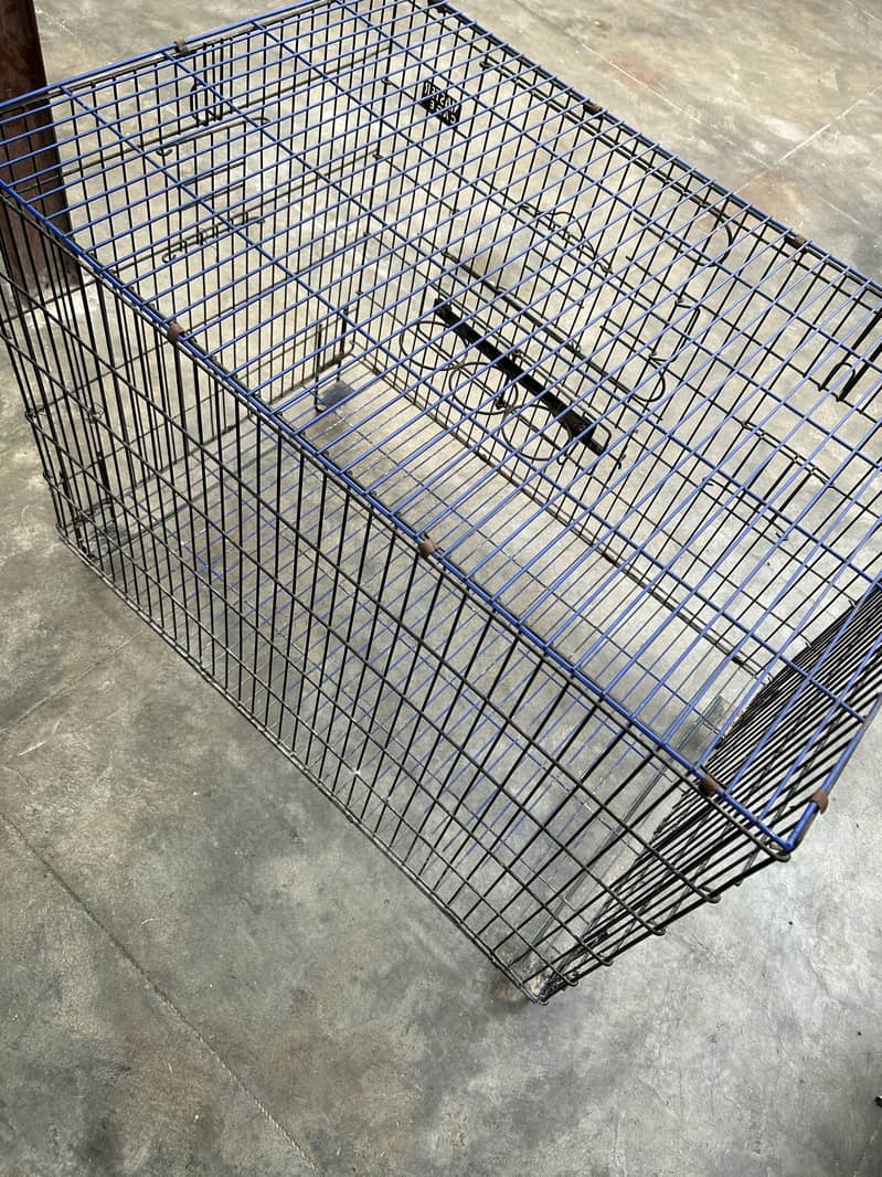Master cage 0